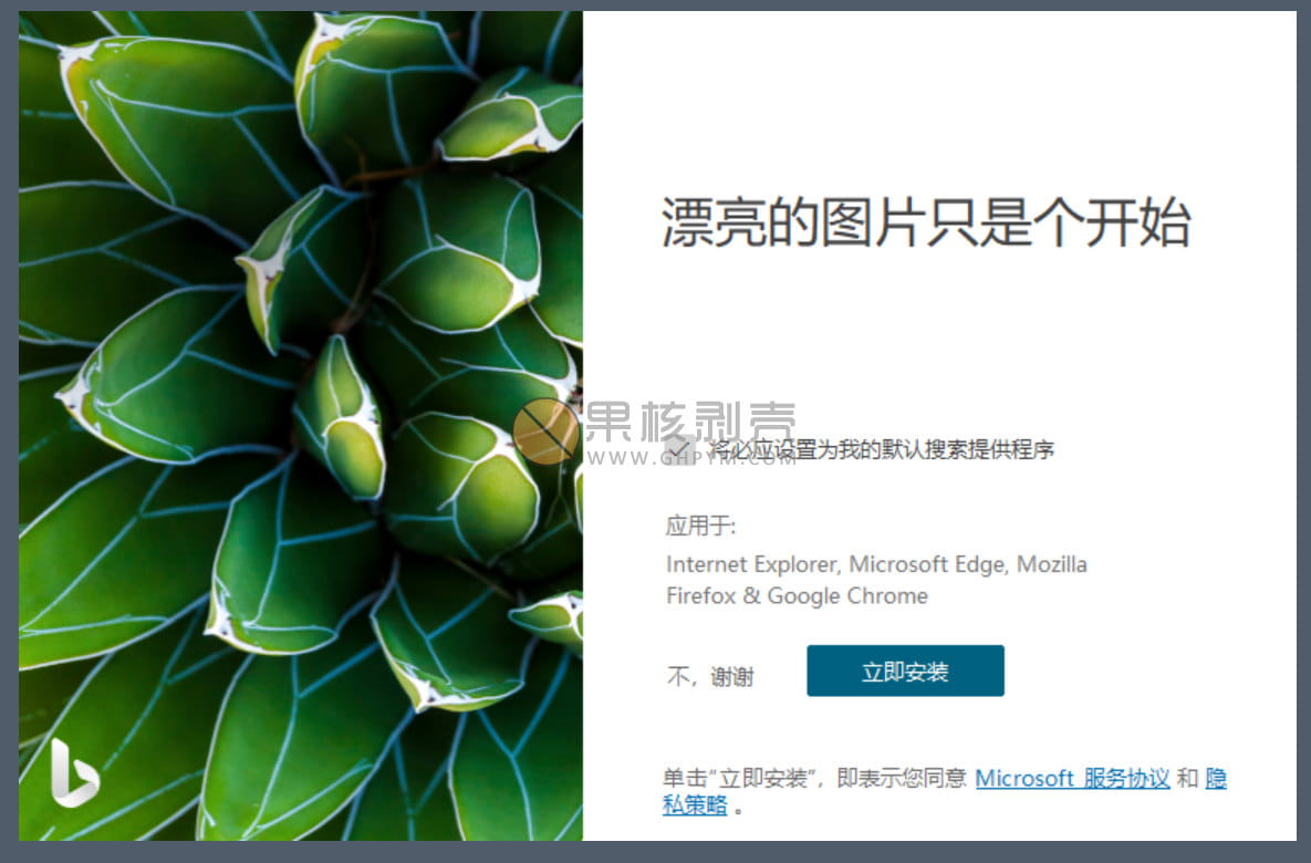 Bing Wallpaper(微软壁纸) v1.1.450.0 中文多语免费版插图