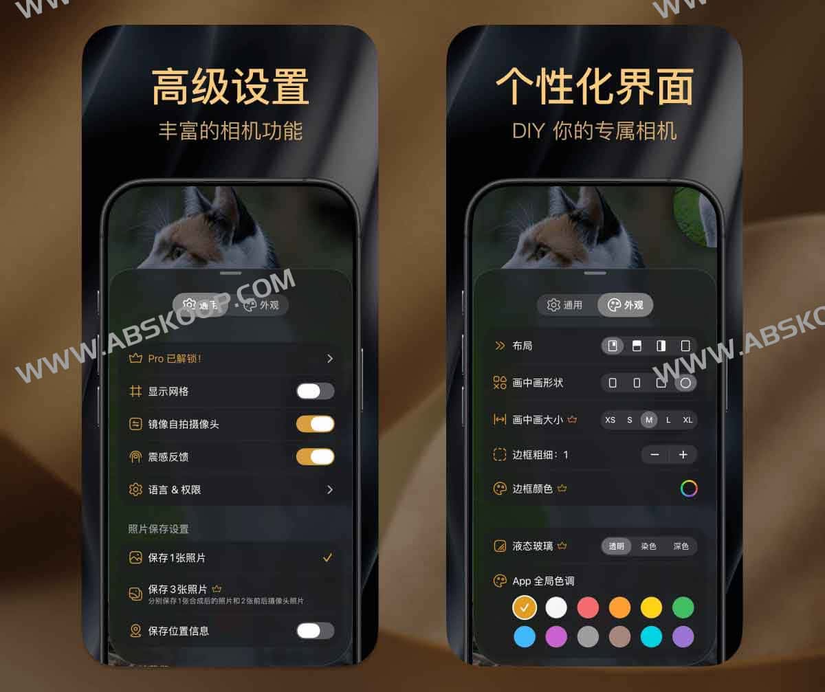 2Camera：双重拍摄相机 前后同开、画中画分屏，一次成片三张，内购限免中
