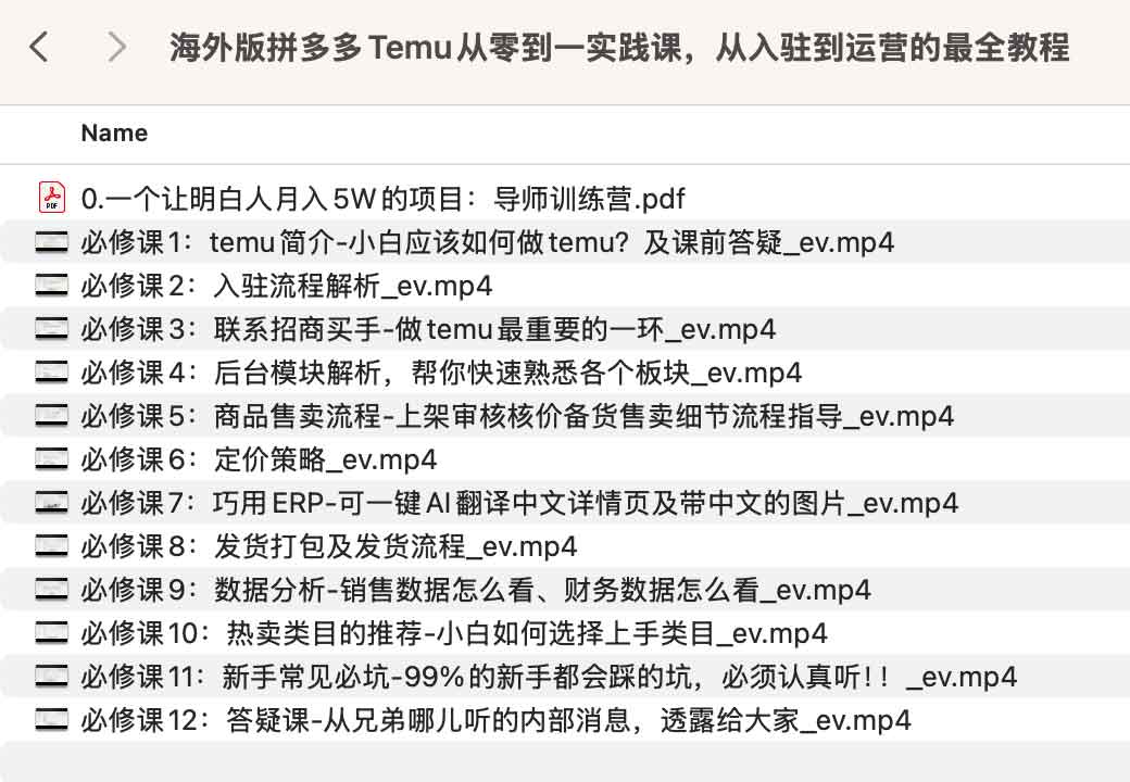 海外版拼多多Temu从零到一实践课，从入驻到运营的最全教程