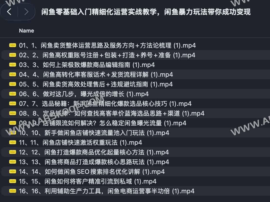 闲鱼零基础入门精细化运营实战教学，闲鱼暴力玩法带你成功变现