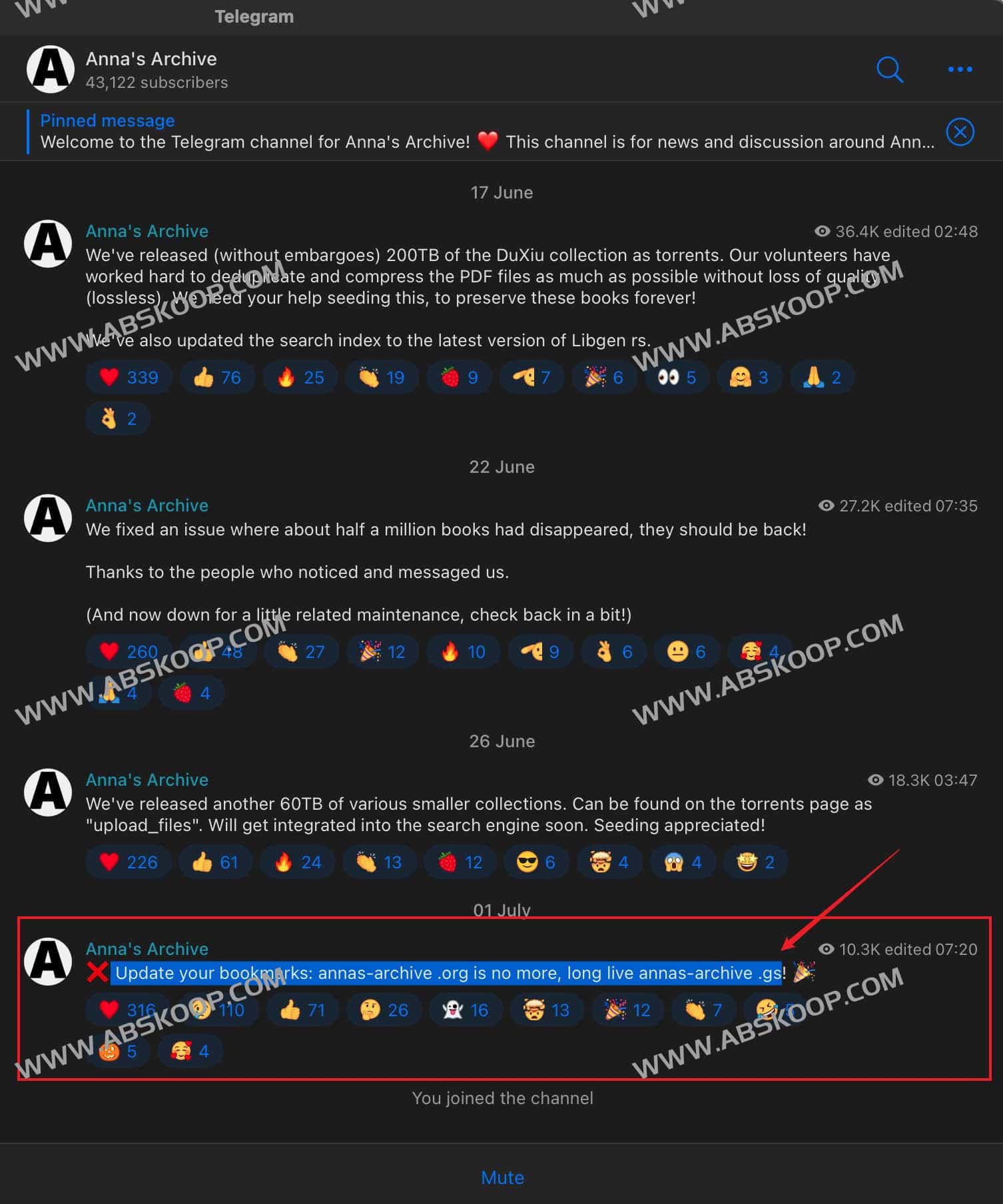 Z-Library电子书搜索引擎 - Anna’s Archive（安娜的档案）