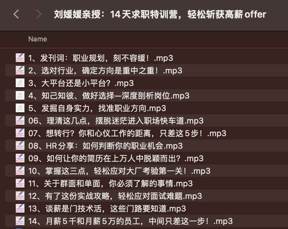 刘媛媛亲授：14天求职特训营，轻松斩获高薪offer