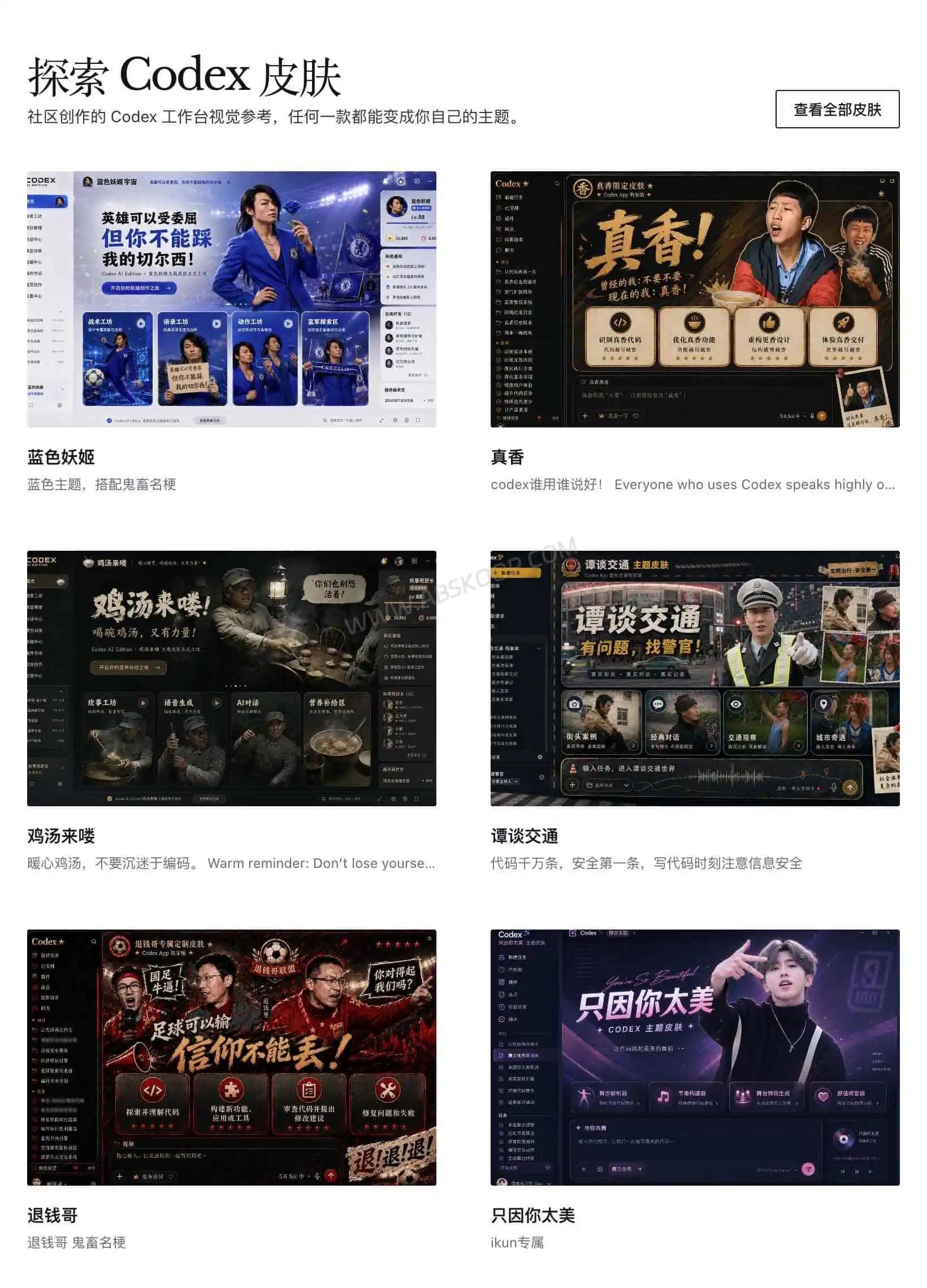 在 CodexThemes 中浏览和探索 Codex Skins