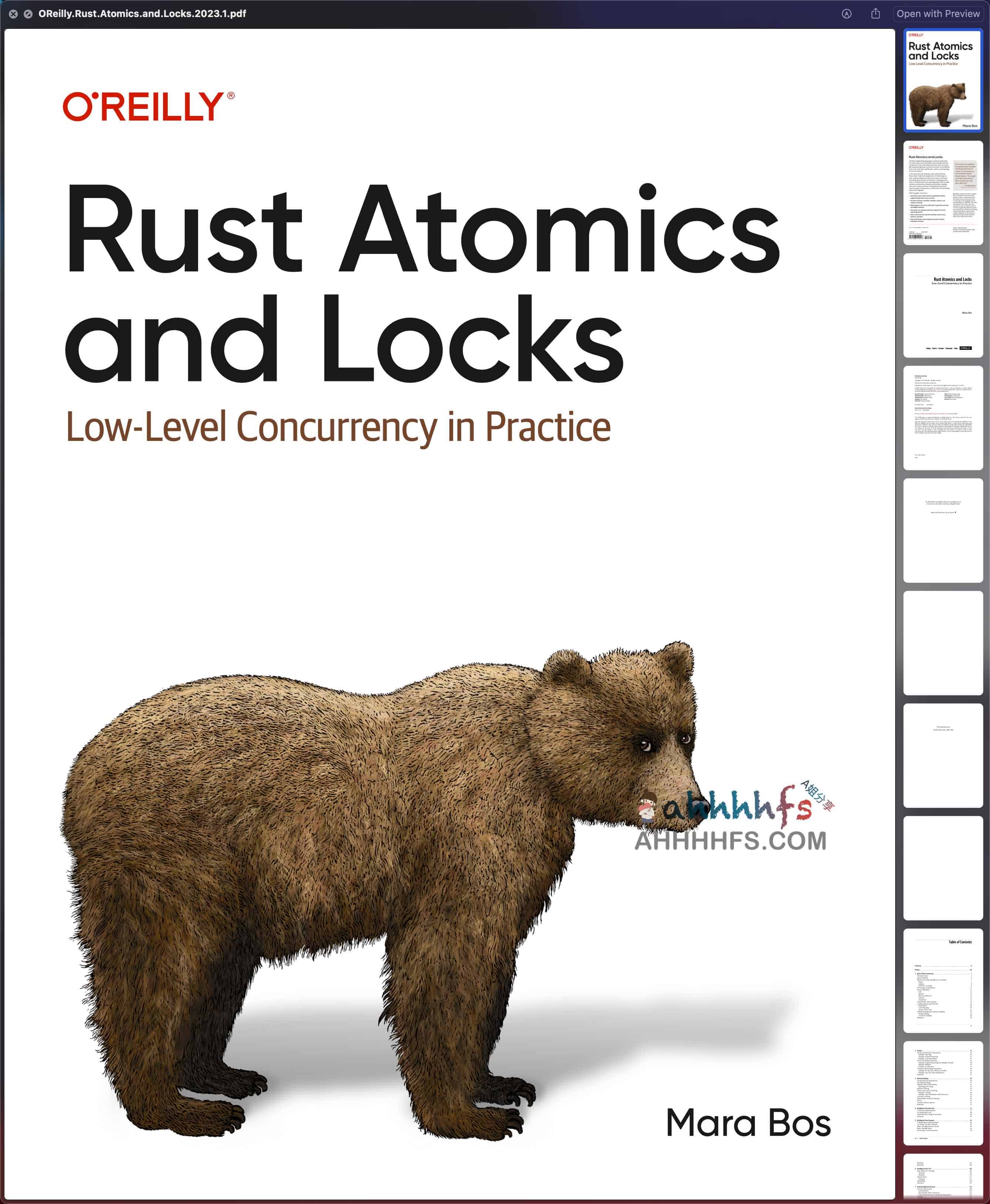 Rust Atomics and Locks 中文翻译版