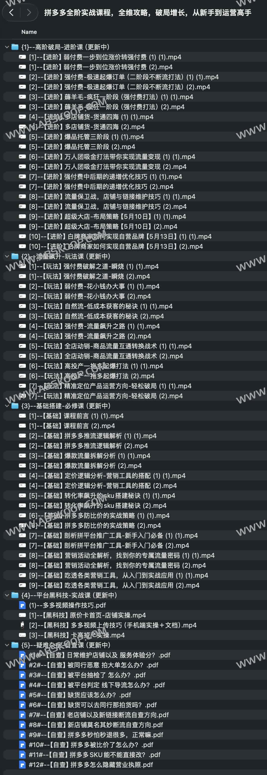 拼多多全阶实战课程，全维攻略，破局增长，从新手到运营高手