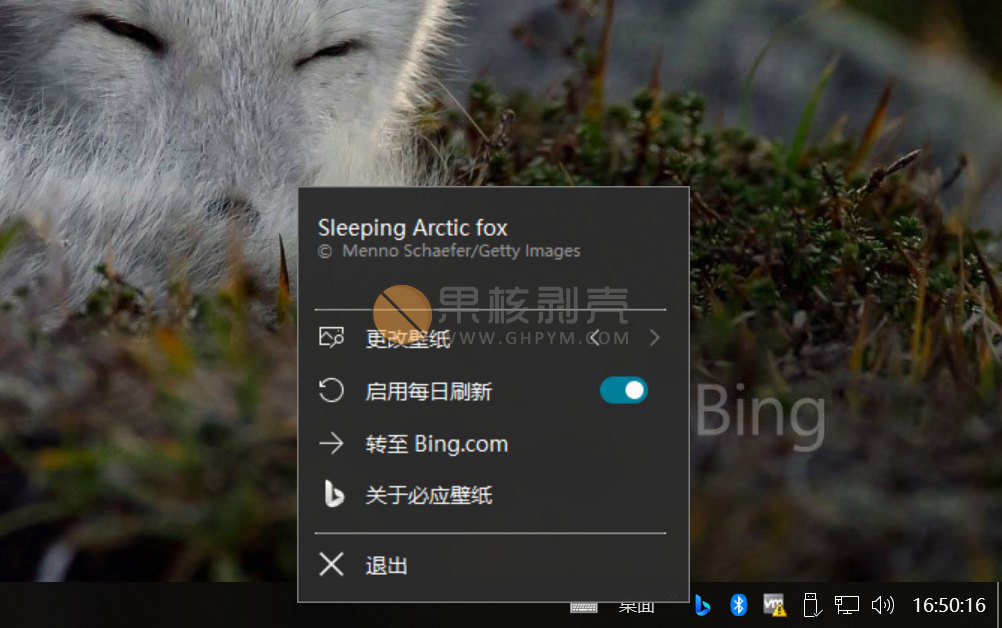 Bing Wallpaper(微软壁纸) v1.1.450.0 中文多语免费版插图1