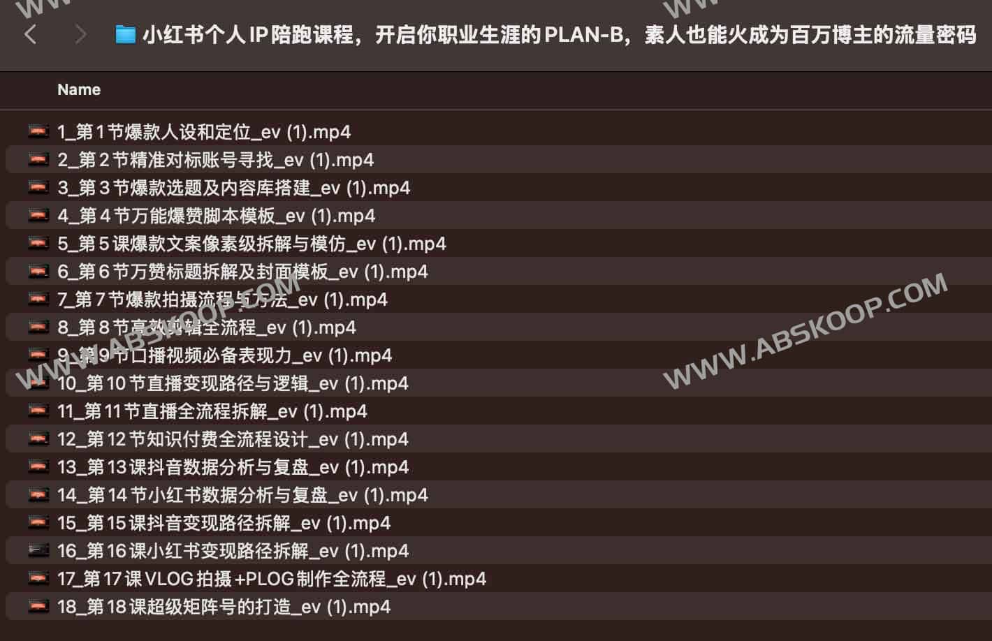 小红书个人IP陪跑课程，开启你职业生涯的PLAN-B，素人也能火成为百万博主的流量密码