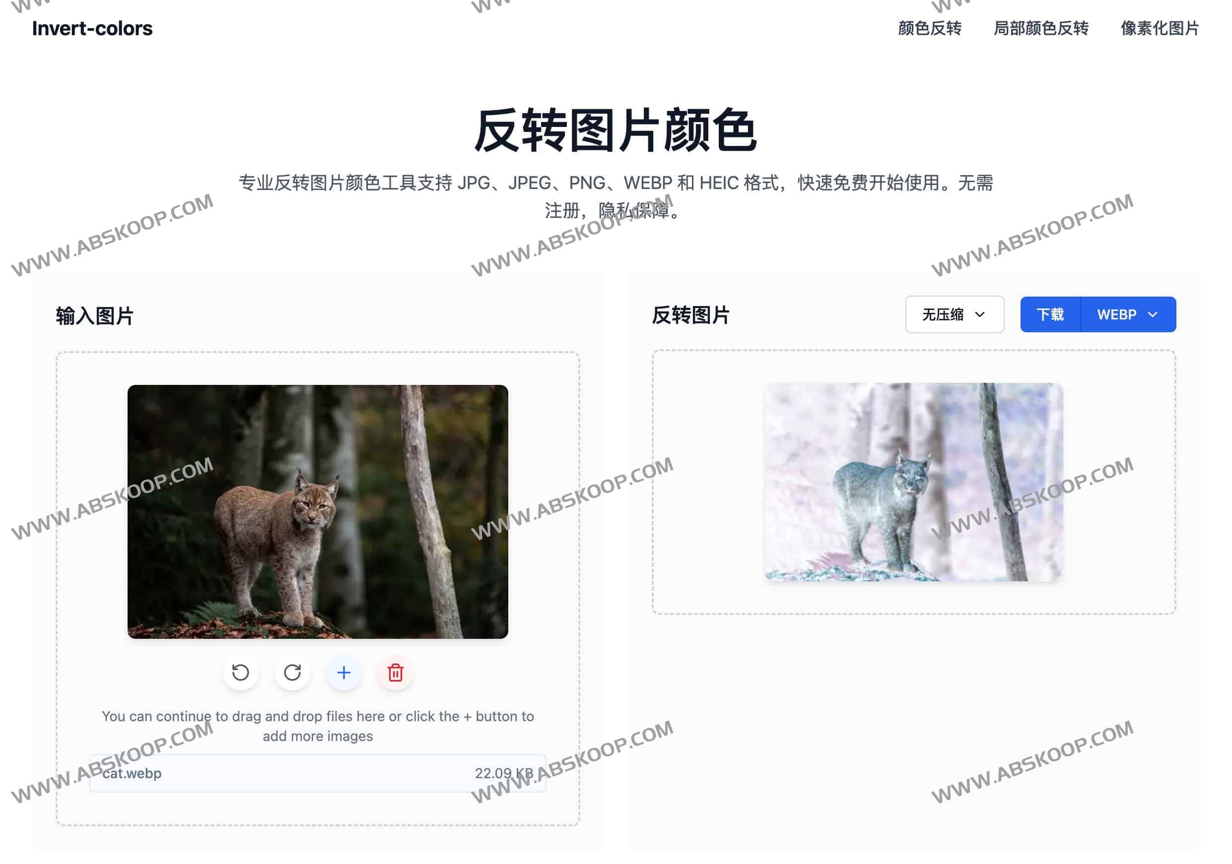 Invert‑colors：免费在线反转图片颜色工具 一键创建专业负片效果